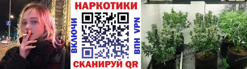 Купить закладку Кодеин Амфетамин Мефедрон Альфа ПВП Новокузнецк
