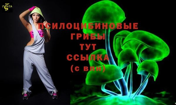 ECSTASY Армянск