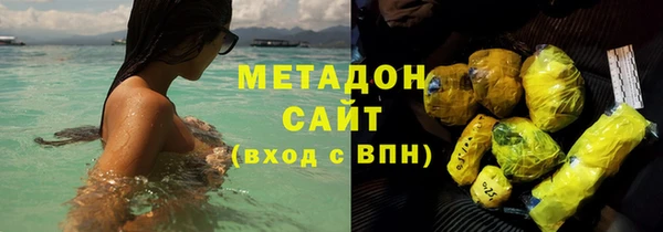 прущие грибы Алзамай