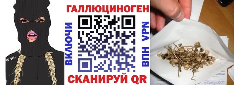 Купить закладки  Новокузнецк  Псилоцибиновые грибы ЛСД 